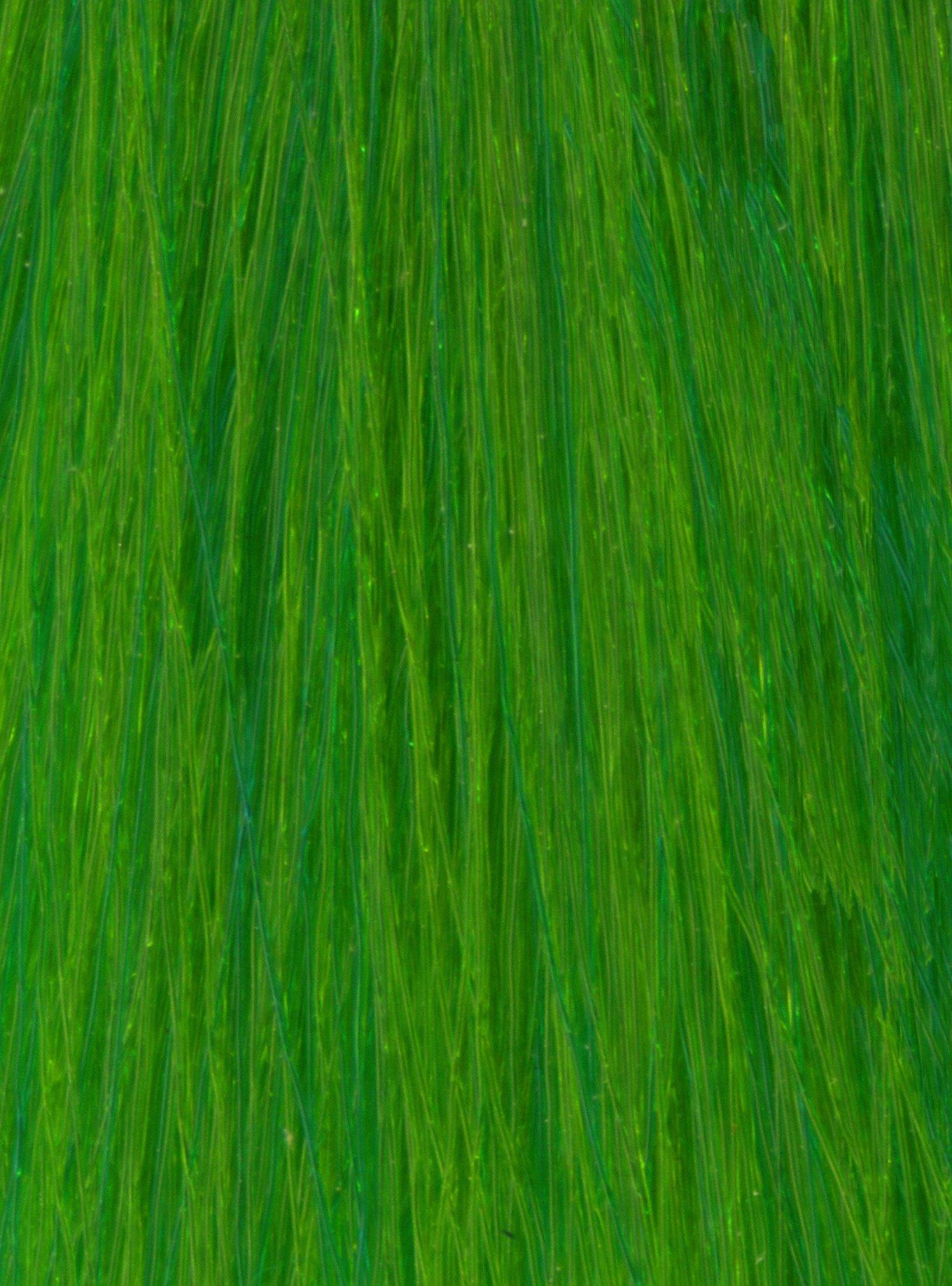 Manic Panic Formula 40 Electric Lizard Semi-Permanent Hair Dye, , alternate