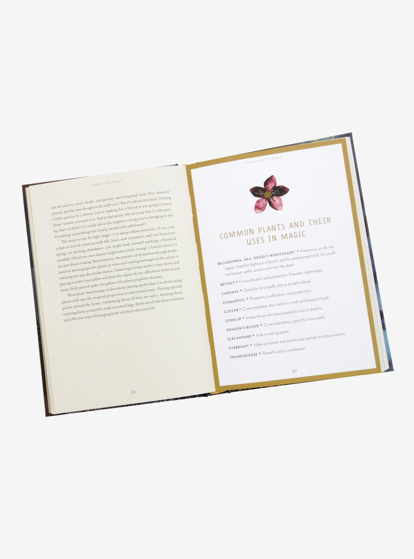 Practical Magic: A Beginner's Guide to Crystals, Horoscopes, Psychics, and Spells Book, , alternate