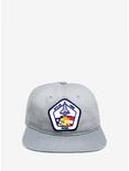 NASA Grey Snapback Hat, , alternate