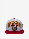 Harry Potter Gryffindor Collegiate Snapback Hat, , alternate