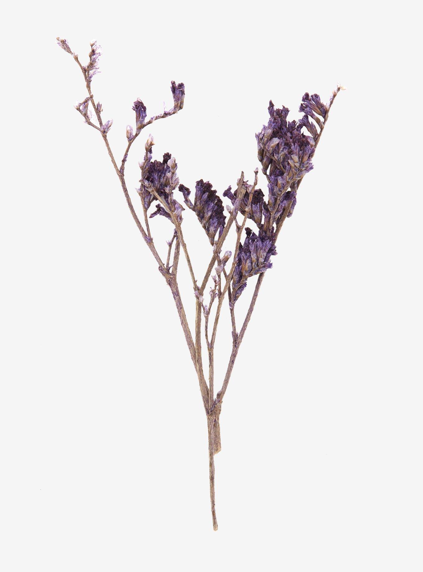 Tree Of Life Potion Set, , alternate