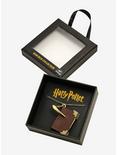 Harry Potter Tom Riddle's Diary Necklace - BoxLunch Exclusive, , alternate