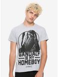 The Hobbit Gandalf Is My Homeboy T-Shirt, , alternate