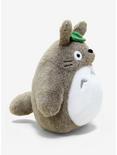 Studio Ghibli My Neighbor Totoro 30th Anniversary Plush, , alternate