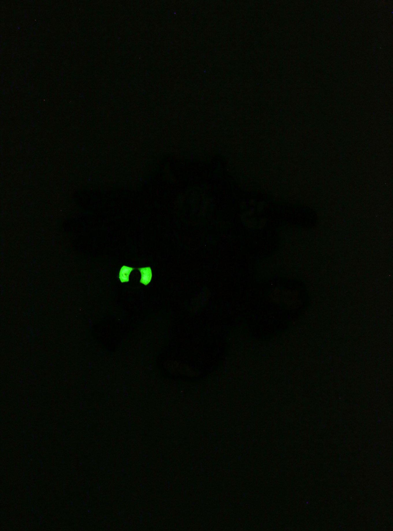 Disney Donald Duck Halloween Enamel Pin - BoxLunch Exclusive, , alternate