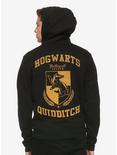 Harry Potter Hufflepuff Quidditch Crest Hoodie, , alternate