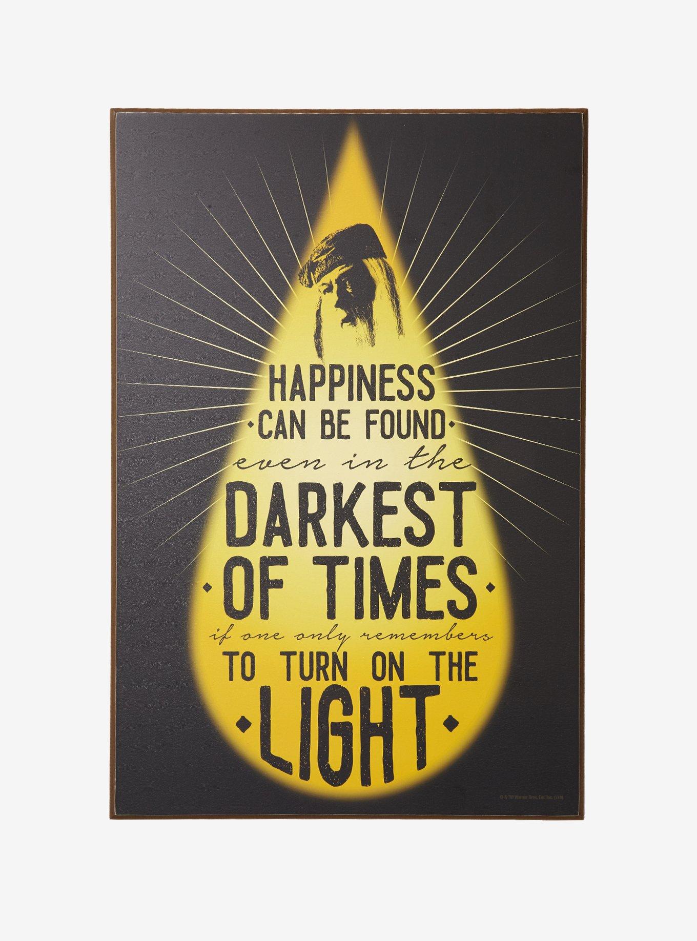 Harry Potter Dumbledore Happiness Quote Wood Wall Art, , alternate