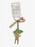 Harry Potter Herbology Class Keychain - BoxLunch Exclusive, , alternate