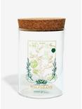 Harry Potter Herbology Storage Jars - BoxLunch Exclusive, , alternate