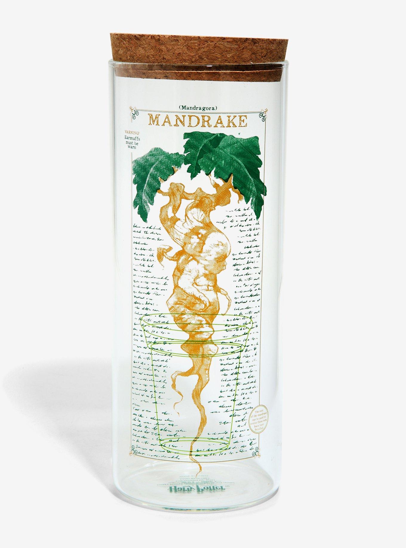 Harry Potter Herbology Storage Jars - BoxLunch Exclusive, , alternate