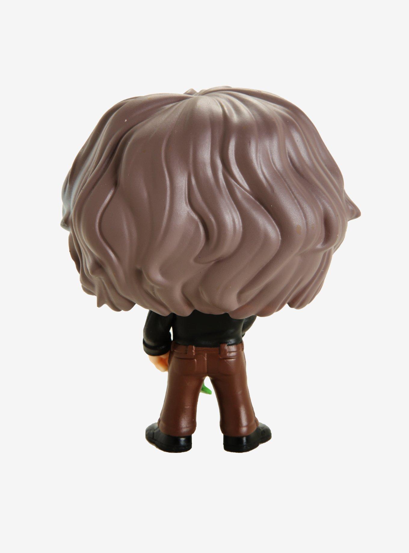 Funko Pop! Jim Henson with Kermit Vinyl Figure, , alternate