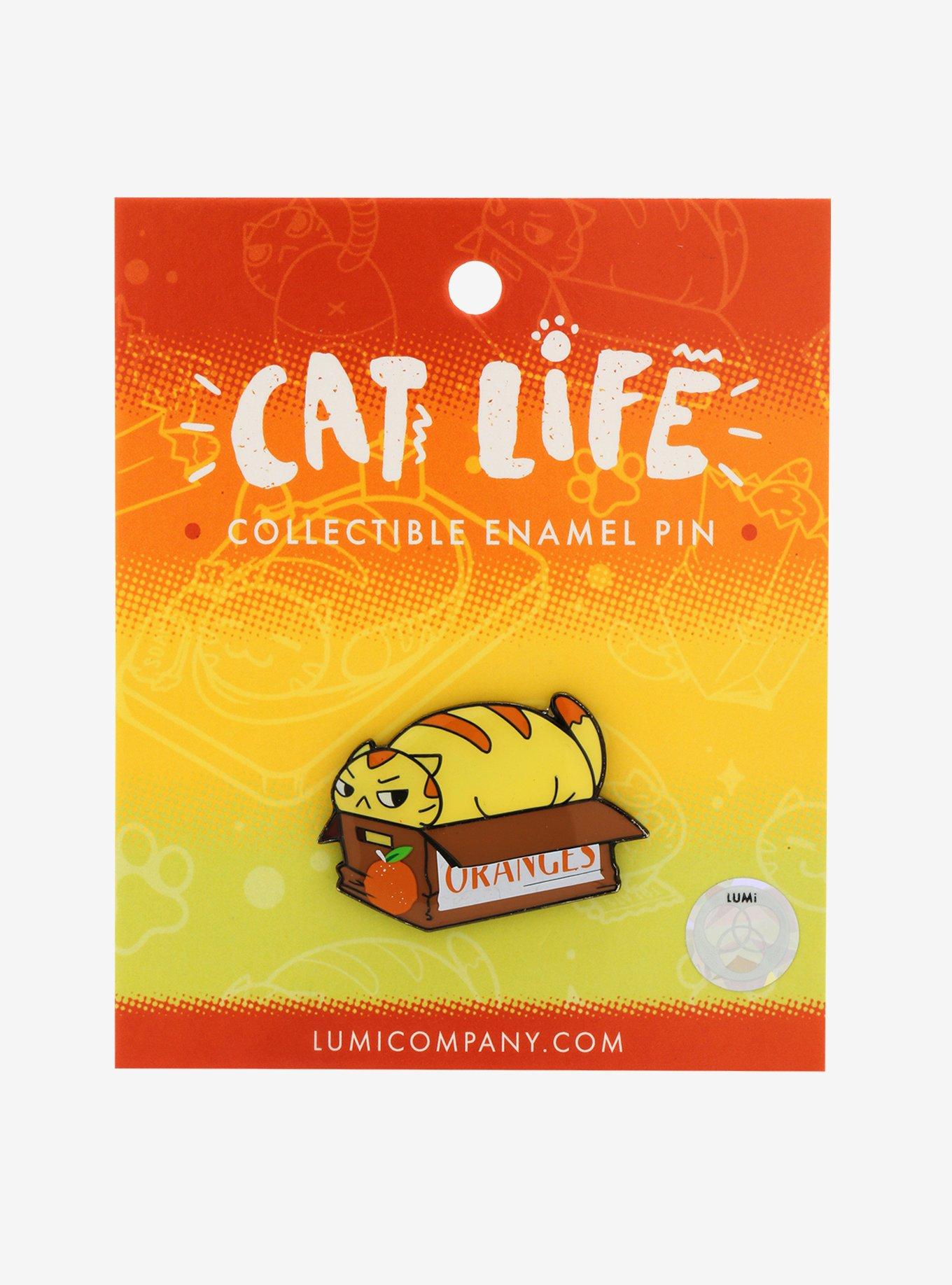 Fat Orange Cat In A Box Enamel Pin, , alternate