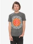 Red Hot Chili Peppers Brick Wall Print T-Shirt, BLACK, alternate