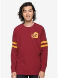 Harry Potter Gryffindor House Hype Jersey - BoxLunch Exclusive, , alternate