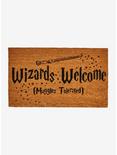 Harry Potter Wizards Welcome Doormat, , alternate