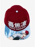 My Hero Academia Shoto Todoroki Snapback Hat, , alternate