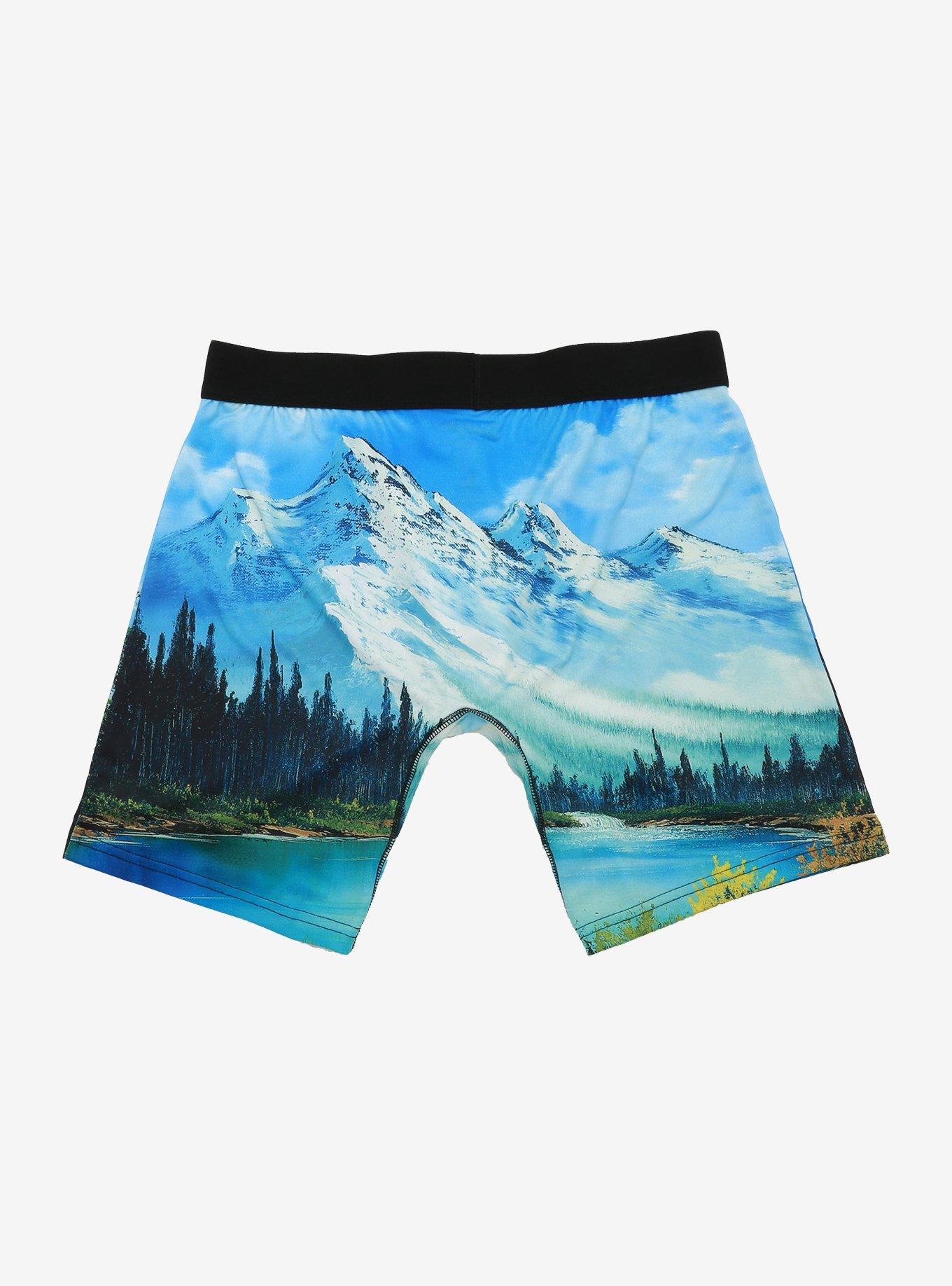 Bob Ross Painting Boxer Briefs, , alternate