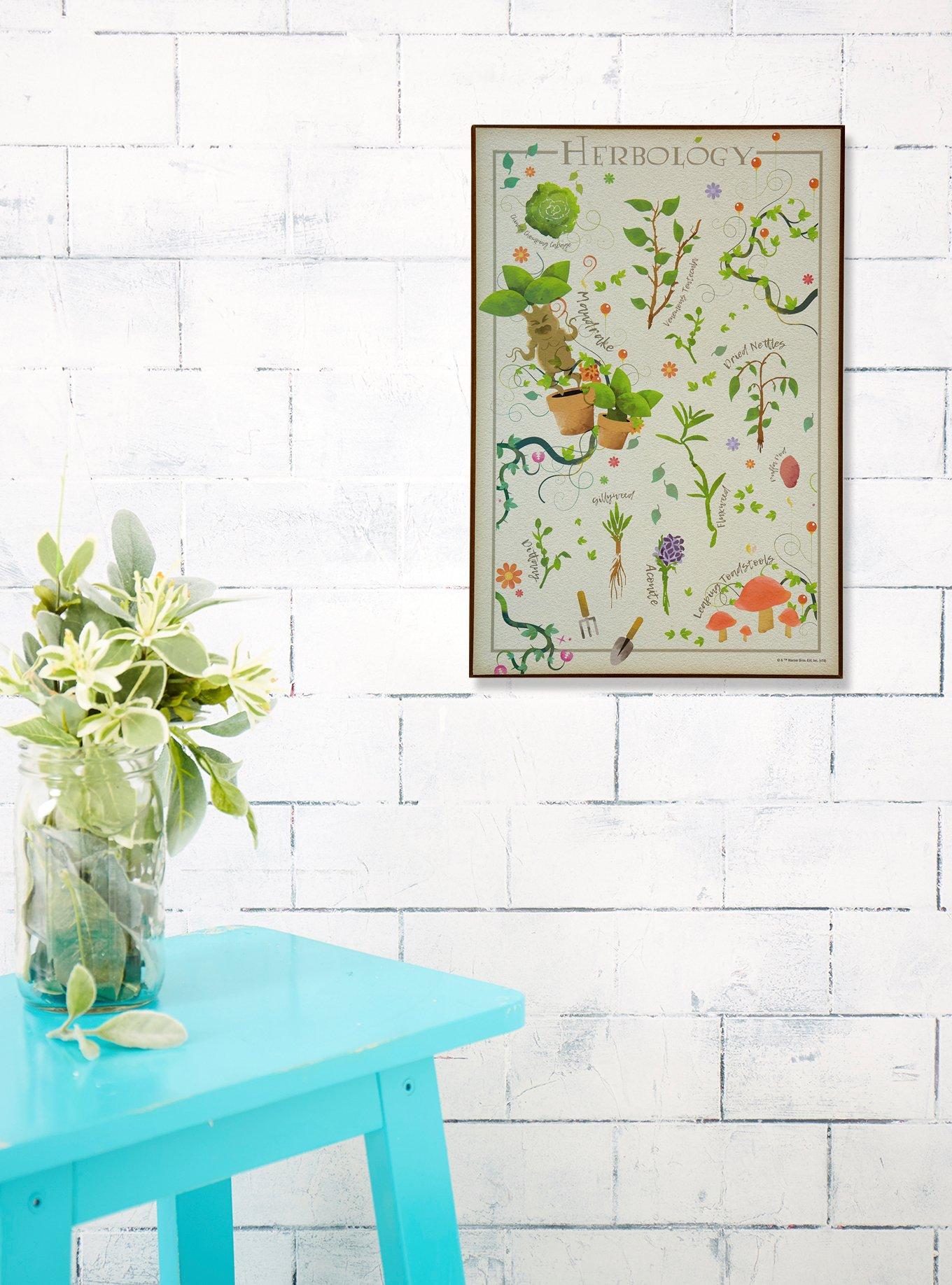 Harry Potter Herbology Wood Wall Art, , alternate