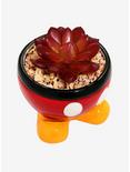 Disney Mickey Mouse Pants Faux Succulent Planter - BoxLunch Exclusive, , alternate