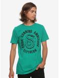 Harry Potter Slytherin House Pride T-Shirt, GREEN, alternate