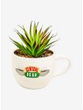 Friends Faux Succulent Central Perk Mug Planter, , alternate