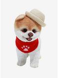 Boo The World's Cutest Dog Straw Hat Resin Figure, , alternate