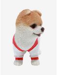 Boo The World's Cutest Dog Gym Resin Figure, , alternate