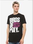 DC Comics Birds OF Prey Title T-Shirt, BLACK, alternate