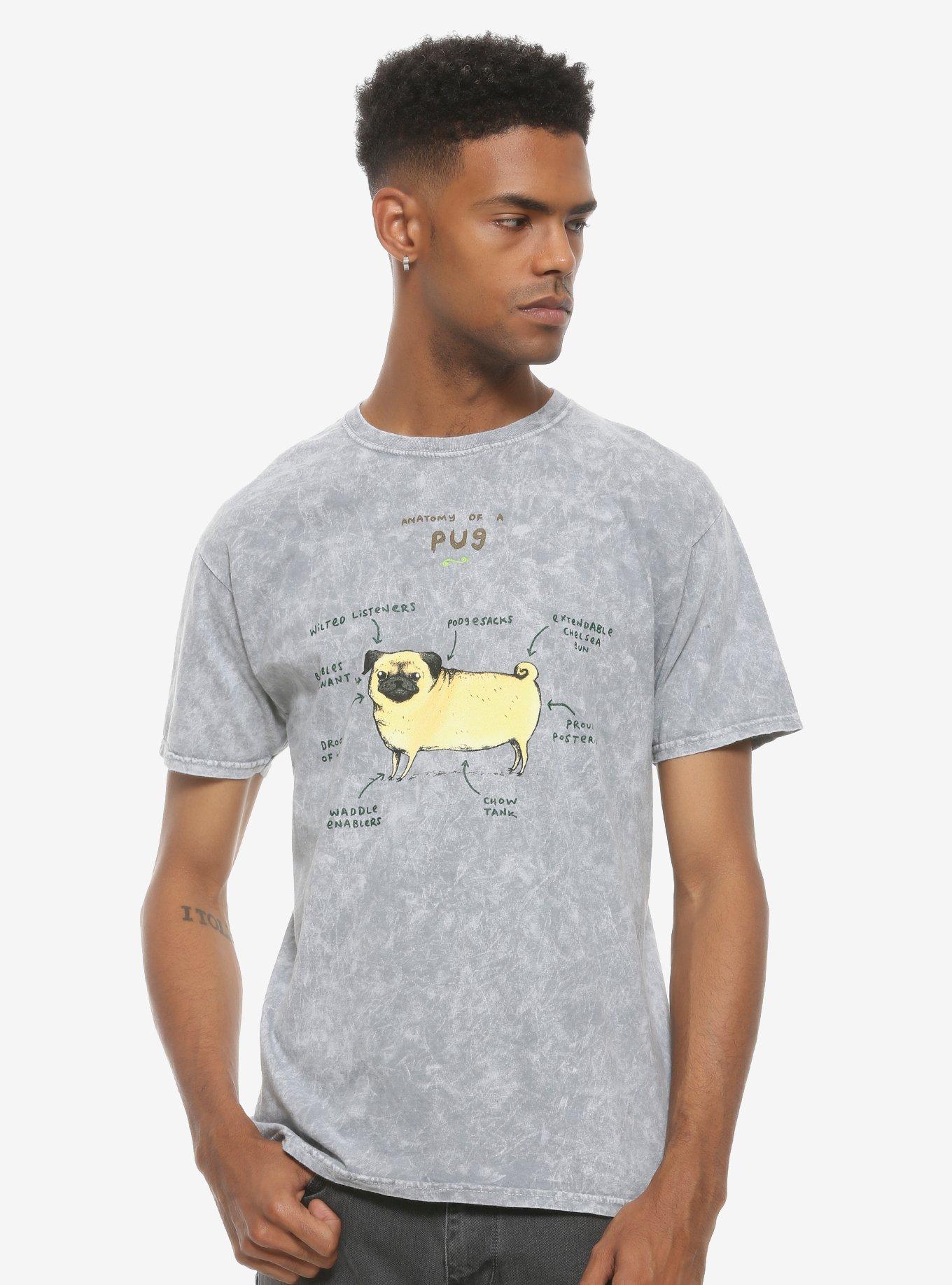 Anatomy Of A Pug Mineral Wash T-Shirt, MULTI, alternate