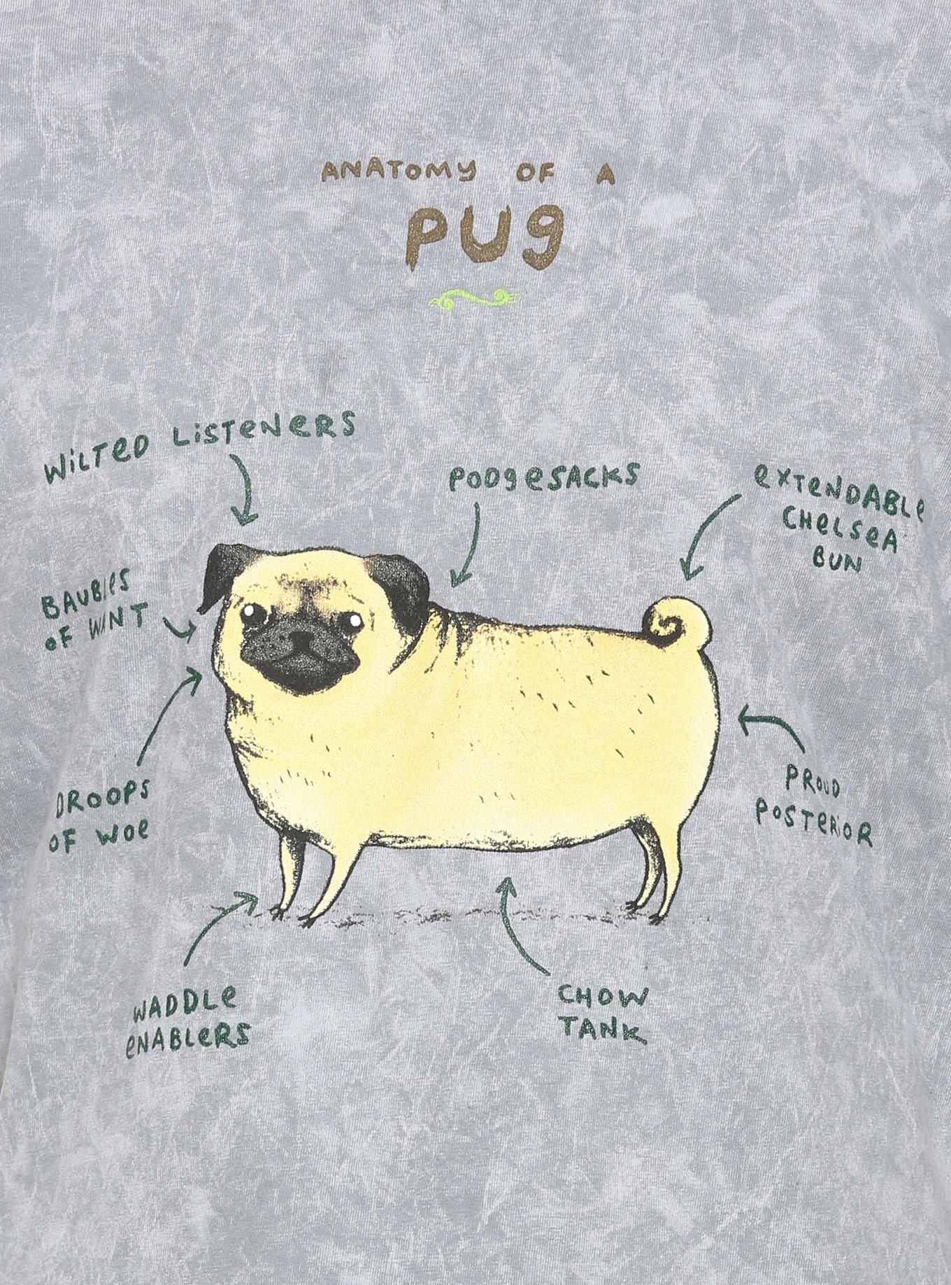 Anatomy Of A Pug Mineral Wash T-Shirt, MULTI, alternate