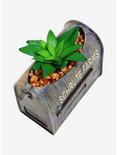 The Office Schrute Farms Mailbow Faux Succulent Planter - BoxLunch Exclusive, , alternate