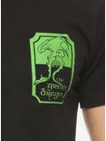 The Lord of the Rings The Green Dragon T-Shirt - BoxLunch Exclusive, GREEN, alternate