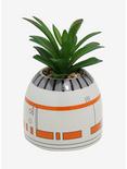 Star Wars BB-8 Faux Succulent Planter, , alternate