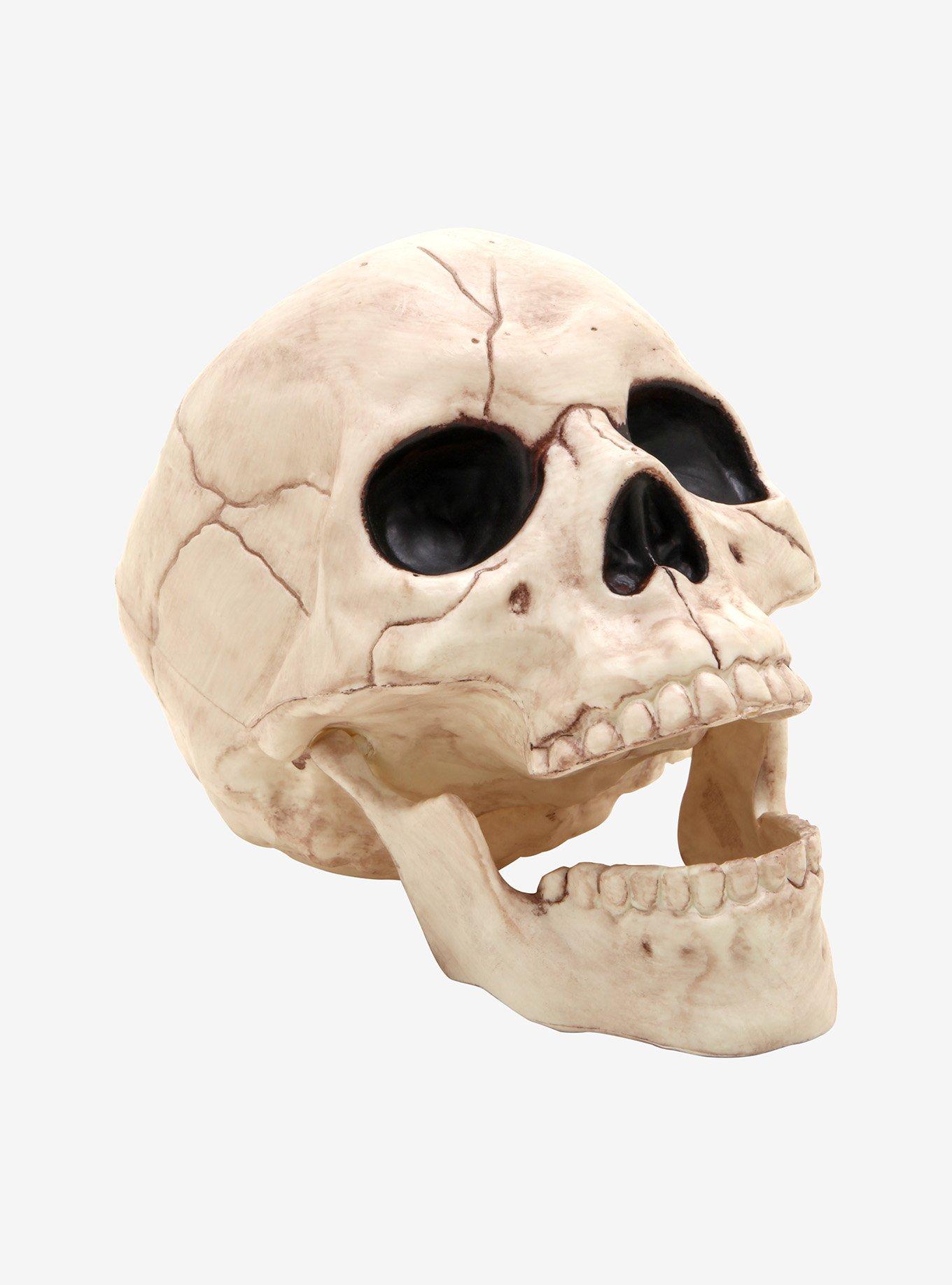 Plastic Skull, , alternate