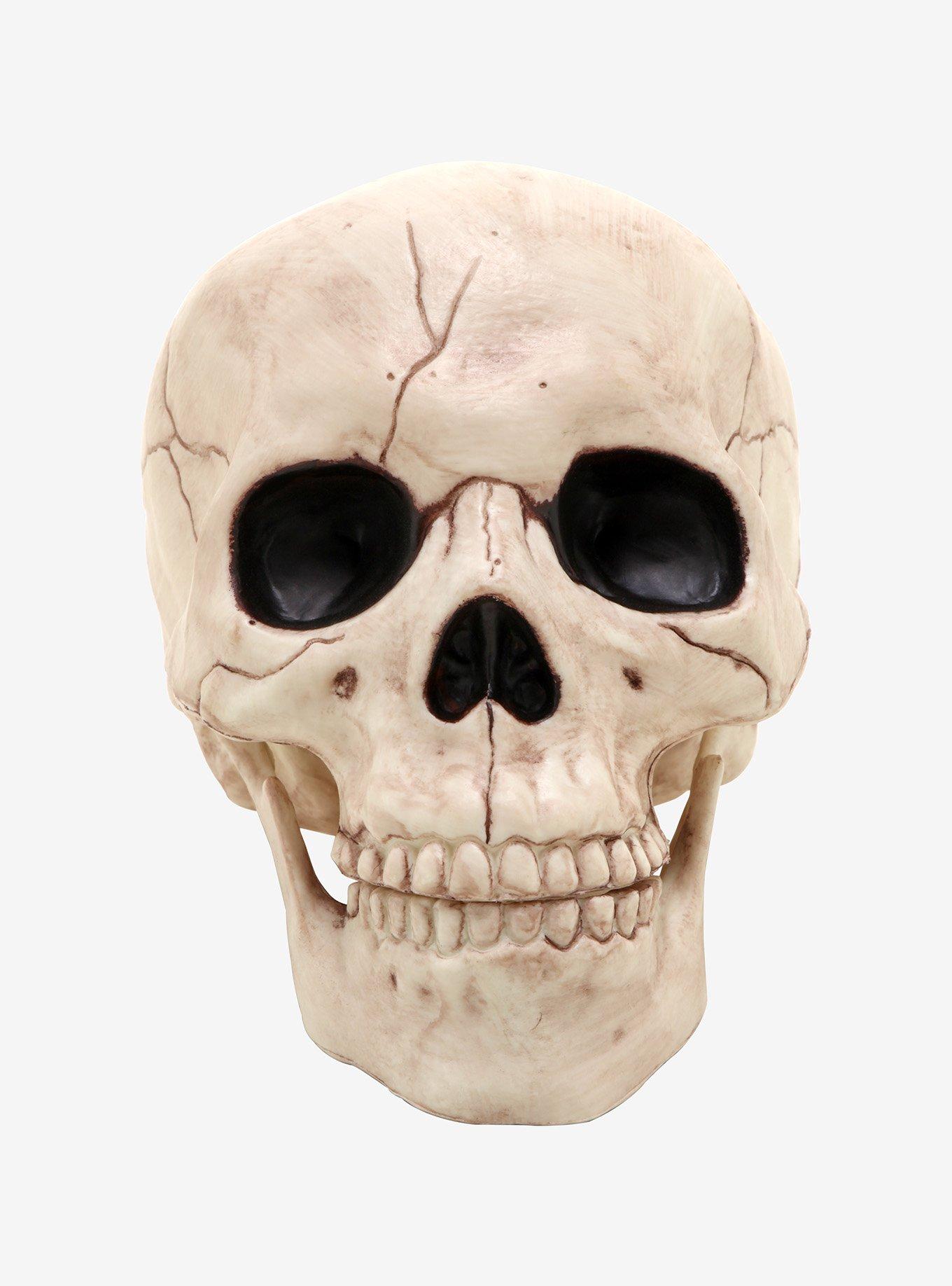 Plastic Skull, , alternate