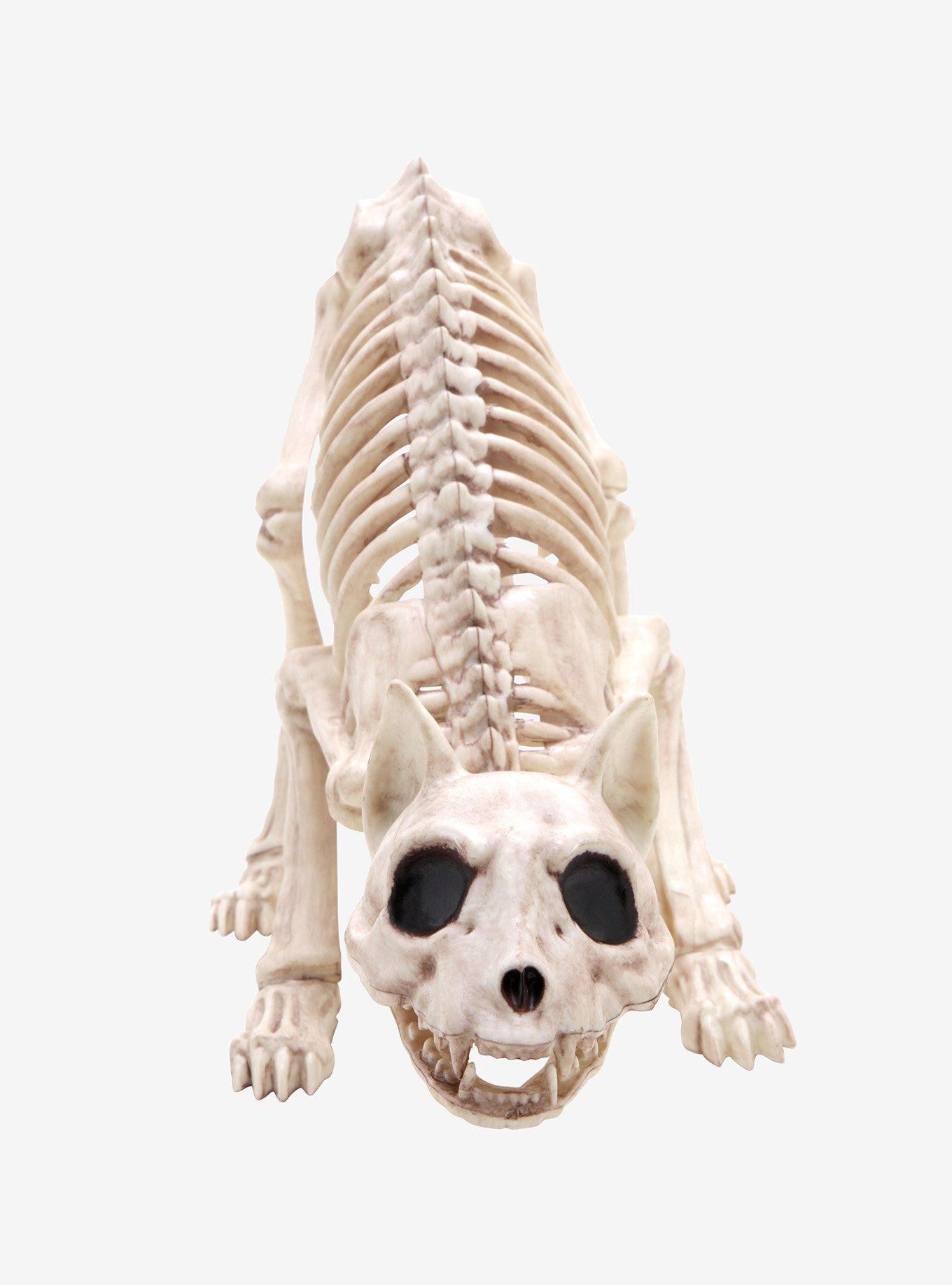 Skeleton Cat, , alternate