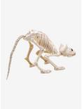 Skeleton Cat, , alternate