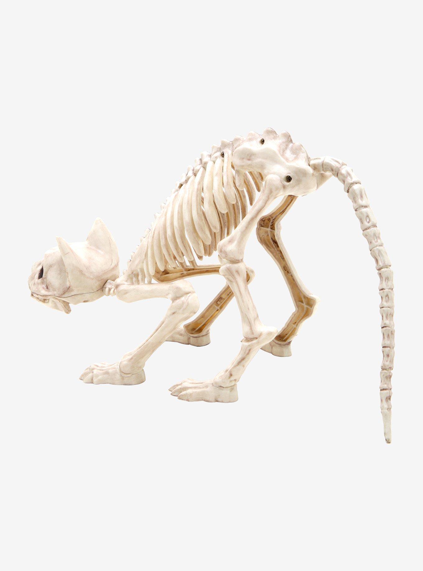 Skeleton Cat, , alternate