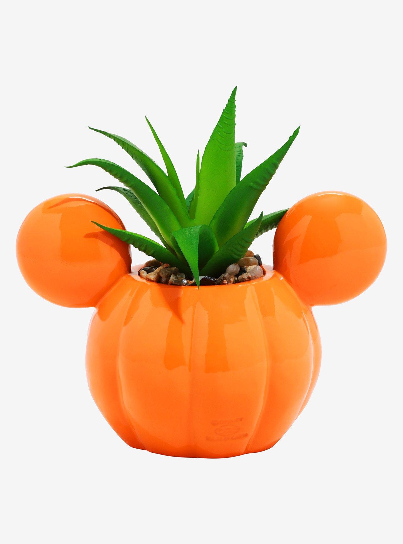 Disney Mickey Mouse Jack-O'-Lantern Faux Succulent Light-Up Planter, , alternate