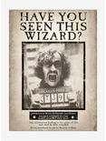 Harry Potter Have You Seen This Wizard? Lenticular Wood Wall Art, , alternate