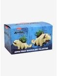 Avatar: The Last Airbender Appa Faux Succulent Planter - BoxLunch Exclusive, , alternate