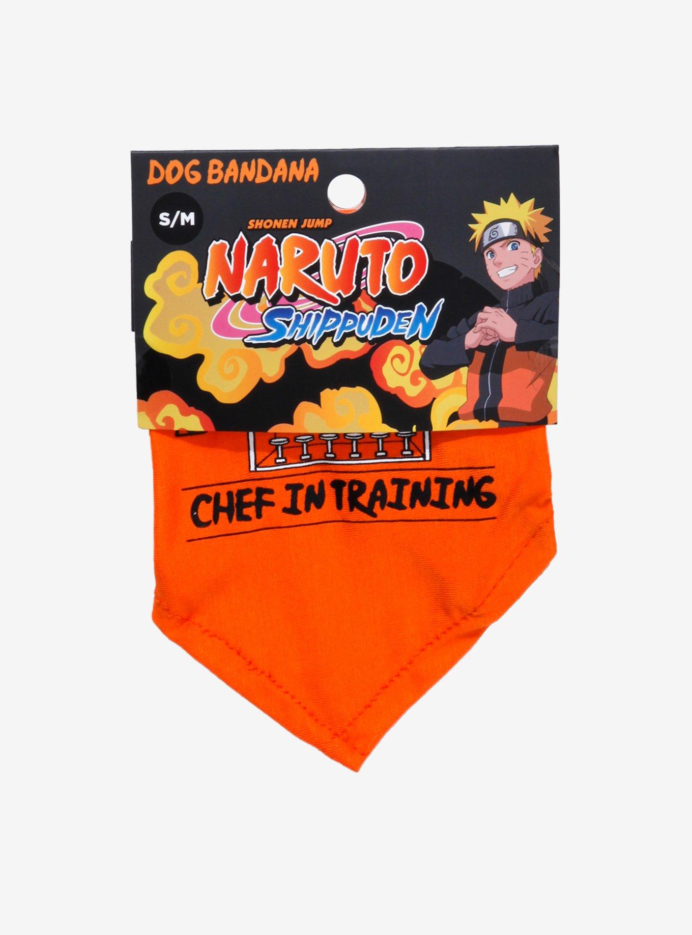 Naruto Shippuden Ichiraku Ramen Chef-in-Training Dog Bandana - BoxLunch Exclusive, MULTI, alternate