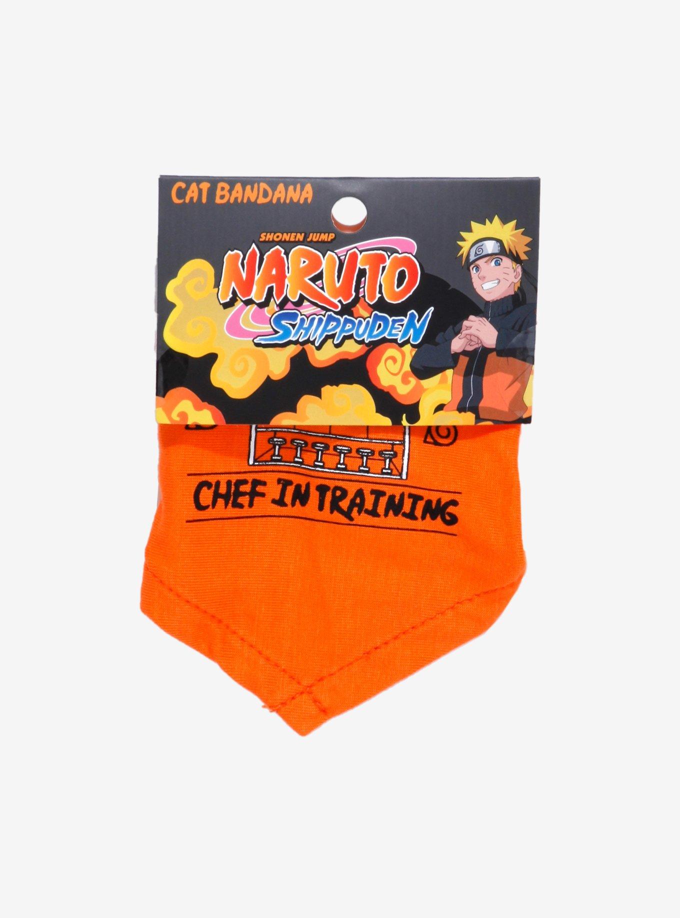 Naruto Shippuden Ichiraku Ramen Chef-in-Training Cat Bandana - BoxLunch Exclusive, , alternate