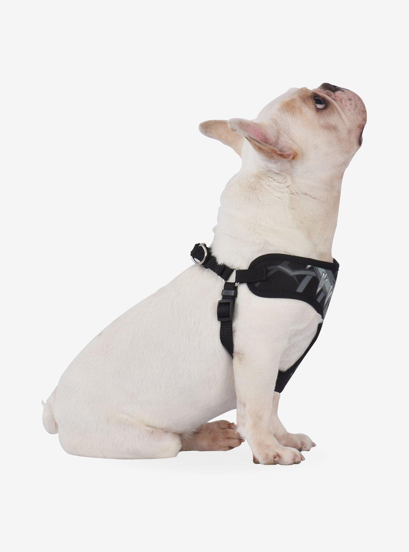 Marvel Black Panther Suit Pet Harness, MULTI, alternate