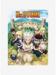 Plus Size Dr. Stone Poster Pack, , alternate