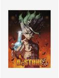 Plus Size Dr. Stone Poster Pack, , alternate