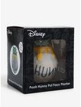Disney Winnie the Pooh Hunny Pot Faux Succulent Planter, , alternate