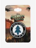 Gravity Falls West of Weird Enamel Pin - BoxLunch Exclusive, , alternate