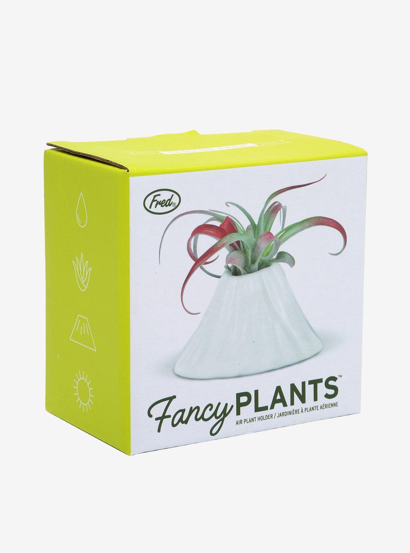 Volcano Air Plant Holder, , alternate