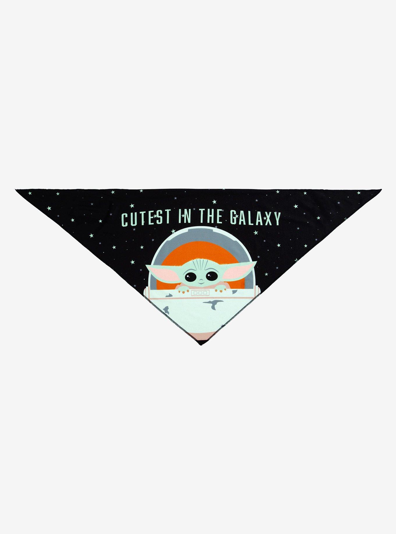 Star Wars The Mandalorian Cutest in the Galaxy Pet Bandana, MULTI, alternate